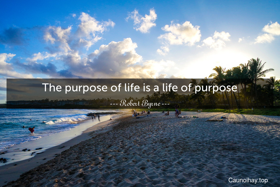 The purpose of life is a life of purpose.
