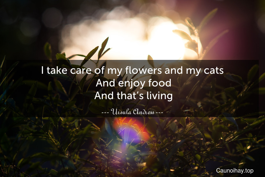I take care of my flowers and my cats. And enjoy food. And that’s living.