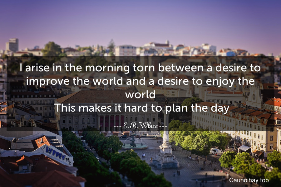 I arise in the morning torn between a desire to improve the world and a desire to enjoy the world. This makes it hard to plan the day.