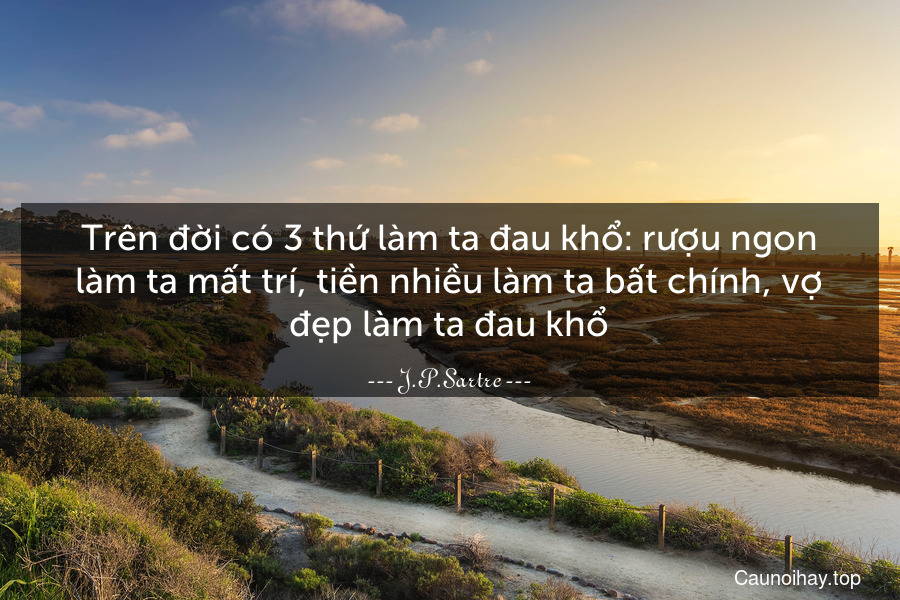 Trên đời có 3 thứ làm ta đau khổ: rượu ngon làm ta mất trí, tiền nhiều làm ta bất chính, vợ đẹp làm ta đau khổ.