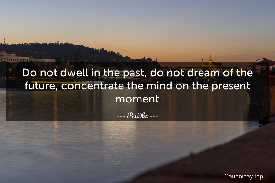 Do not dwell in the past, do not dream of the future, concentrate the mind on the present moment.