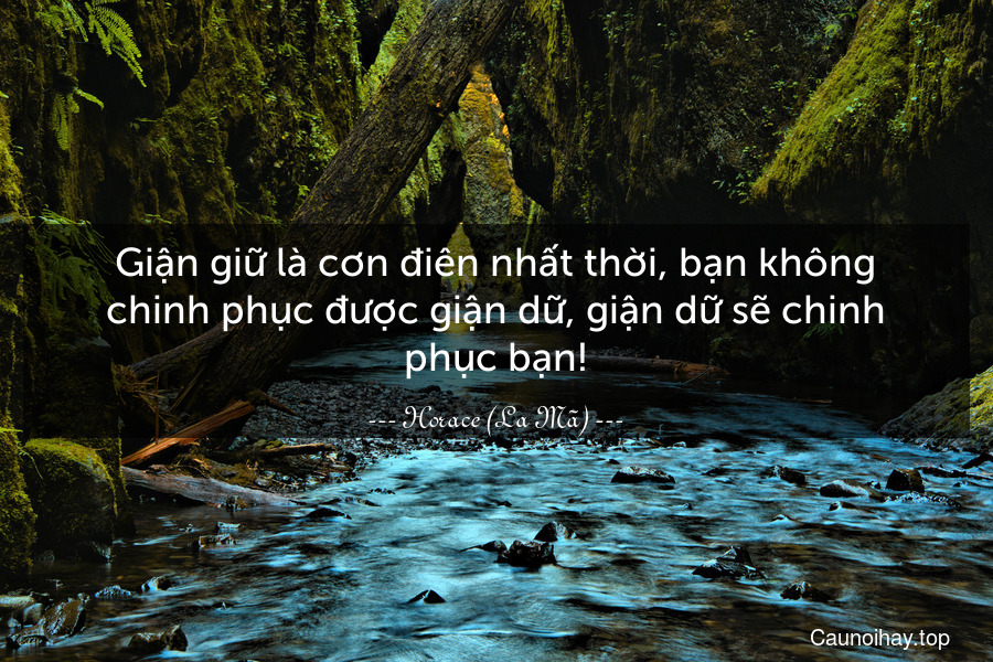 Giận giữ là cơn điên nhất thời, bạn không chinh phục được giận dữ, giận dữ sẽ chinh phục bạn!