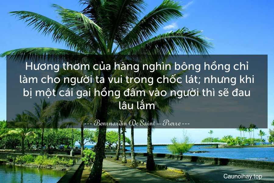 Hương thơm của hàng nghìn bông hồng chỉ làm cho người ta vui trong chốc lát; nhưng khi bị một cái gai hồng đâm vào người thì sẽ đau lâu lắm.