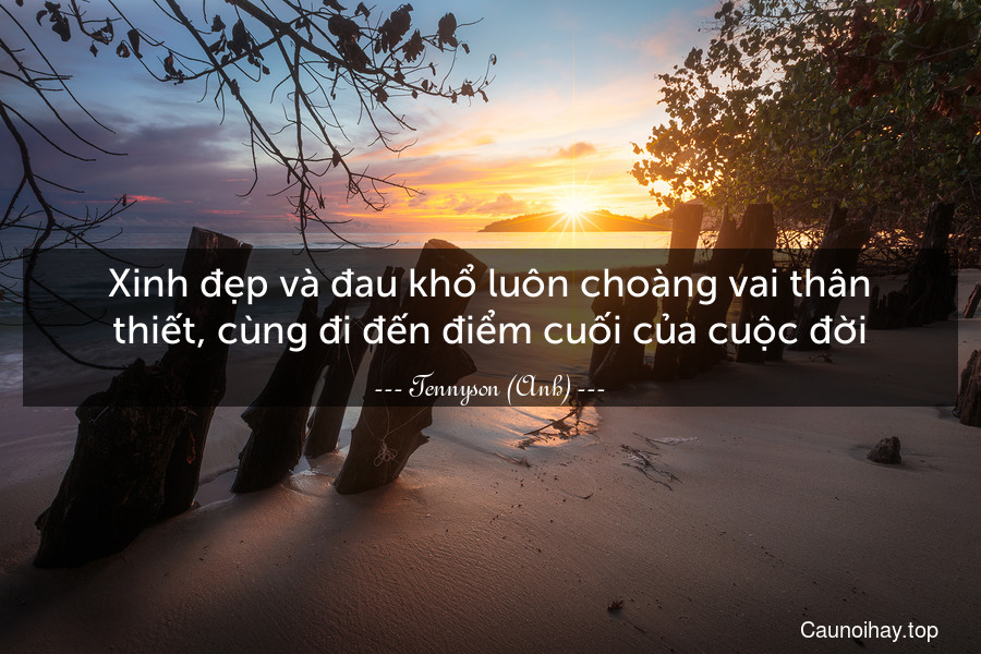 Xinh đẹp và đau khổ luôn choàng vai thân thiết, cùng đi đến điểm cuối của cuộc đời.