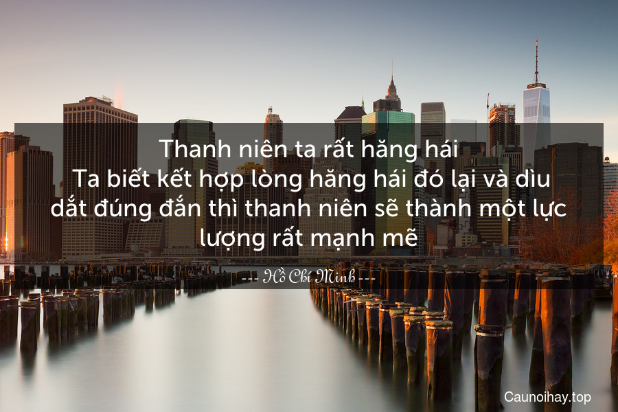 Thanh niên ta rất hăng hái. Ta biết kết hợp lòng hăng hái đó lại và dìu dắt đúng đắn thì thanh niên sẽ thành một lực lượng rất mạnh mẽ.