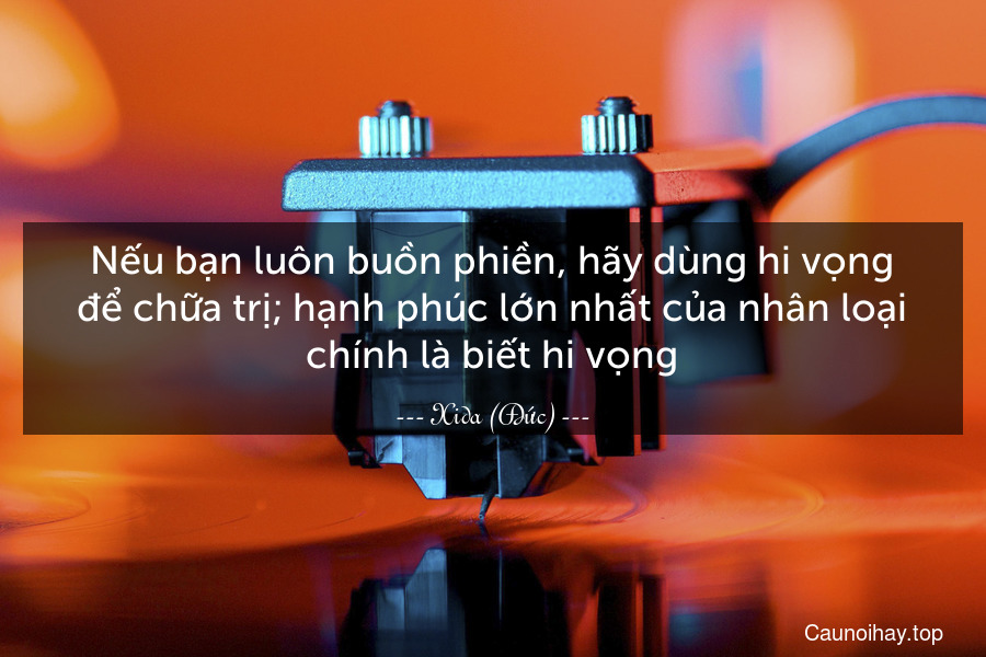 Nếu bạn luôn buồn phiền, hãy dùng hi vọng để chữa trị; hạnh phúc lớn nhất của nhân loại chính là biết hi vọng.