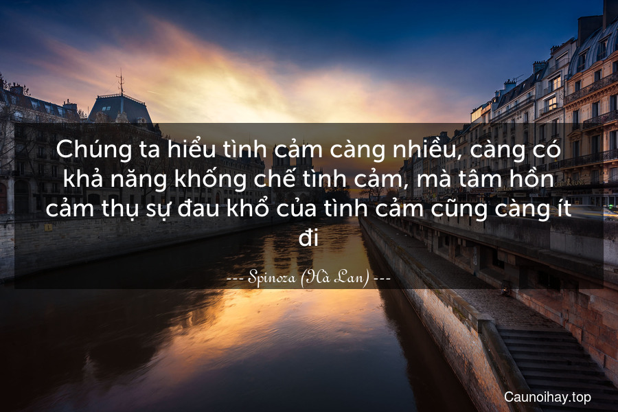 Chúng ta hiểu tình cảm càng nhiều, càng có khả năng khống chế tình cảm, mà tâm hồn cảm thụ sự đau khổ của tình cảm cũng càng ít đi.