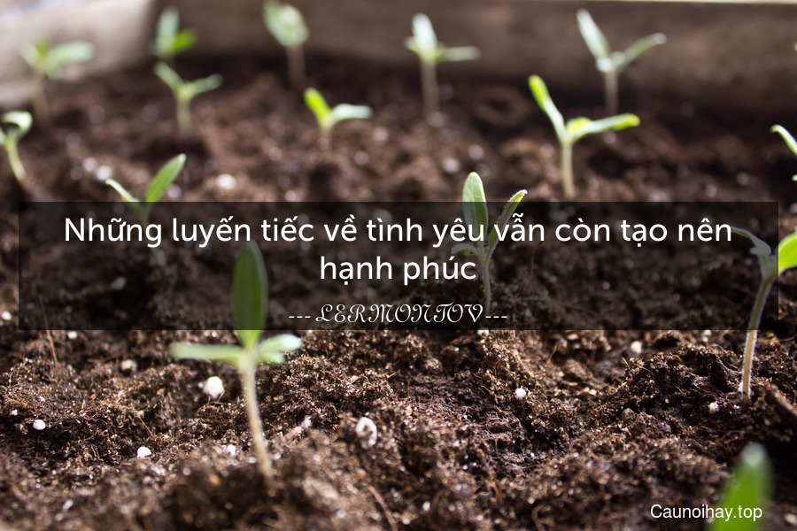 Những luyến tiếc về tình yêu vẫn còn tạo nên hạnh phúc.