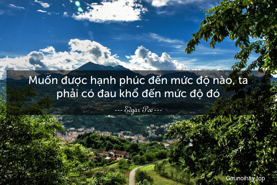 Muốn được hạnh phúc đến mức độ nào, ta phải có đau khổ đến mức độ đó.