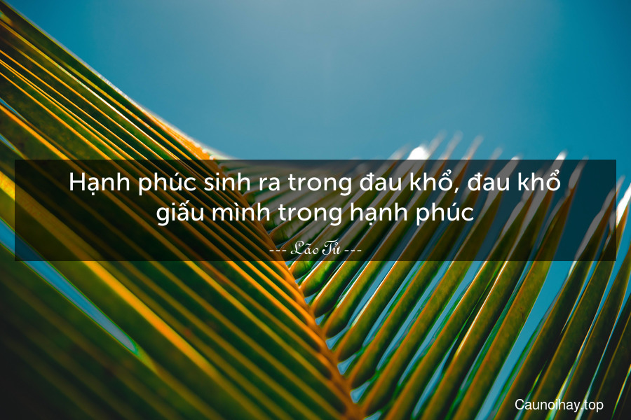 Hạnh phúc sinh ra trong đau khổ, đau khổ giấu mình trong hạnh phúc.