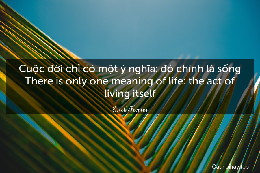 Cuộc đời chỉ có một ý nghĩa: đó chính là sống.
There is only one meaning of life: the act of living itself.