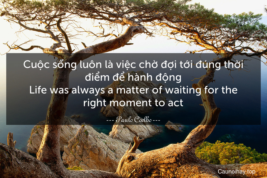 Cuộc sống luôn là việc chờ đợi tới đúng thời điểm để hành động.
Life was always a matter of waiting for the right moment to act.