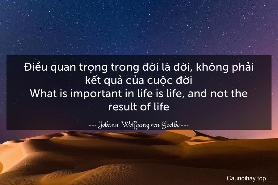 Điều quan trọng trong đời là đời, không phải kết quả của cuộc đời.
What is important in life is life, and not the result of life.