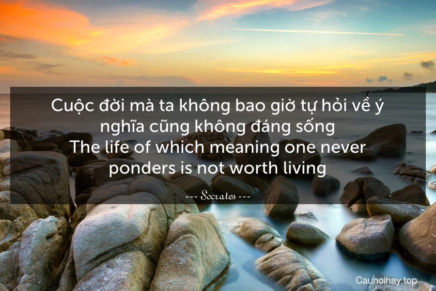 Cuộc đời mà ta không bao giờ tự hỏi về ý nghĩa cũng không đáng sống.
The life of which meaning one never ponders is not worth living.