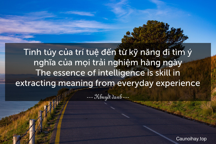 Tinh túy của trí tuệ đến từ kỹ năng đi tìm ý nghĩa của mọi trải nghiệm hàng ngày.
The essence of intelligence is skill in extracting meaning from everyday experience.