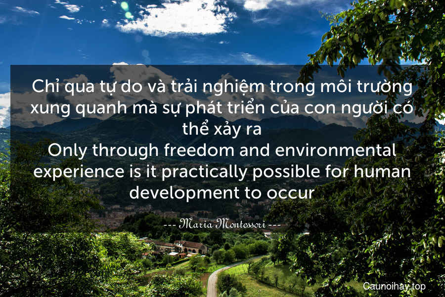 Chỉ qua tự do và trải nghiệm trong môi trường xung quanh mà sự phát triển của con người có thể xảy ra.
Only through freedom and environmental experience is it practically possible for human development to occur.