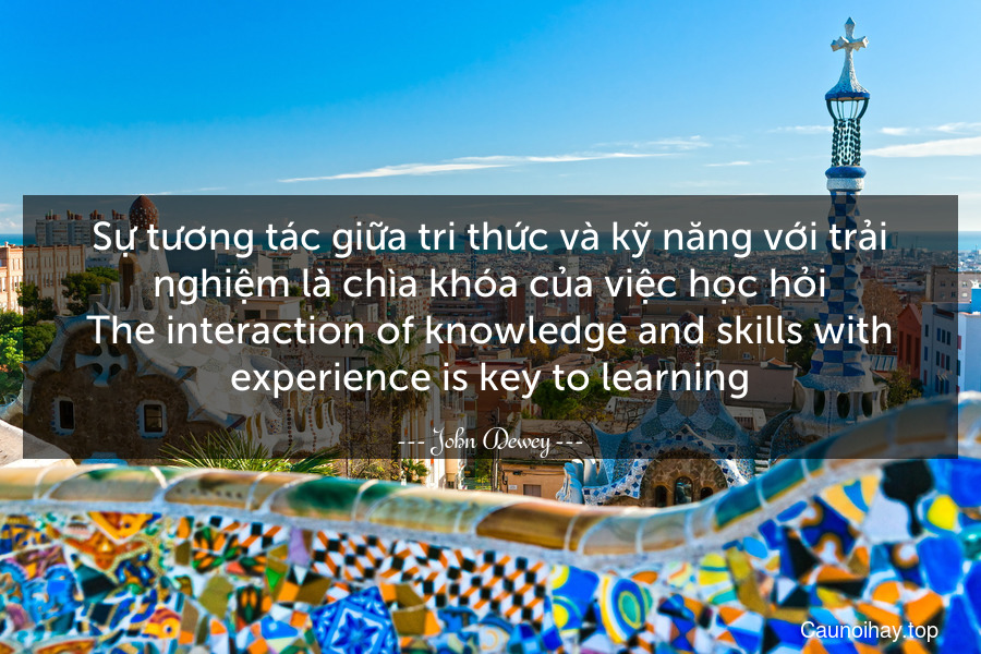 Sự tương tác giữa tri thức và kỹ năng với trải nghiệm là chìa khóa của việc học hỏi.
The interaction of knowledge and skills with experience is key to learning.