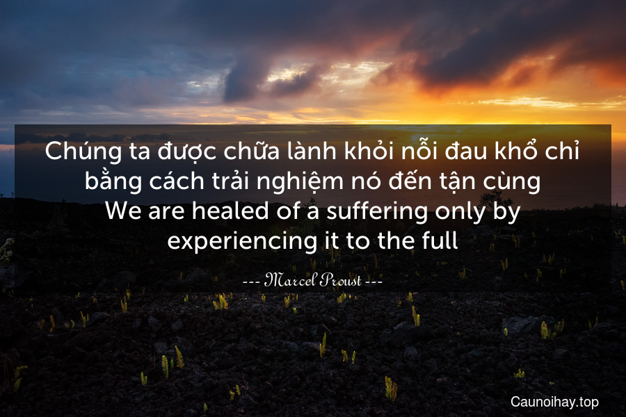 Chúng ta được chữa lành khỏi nỗi đau khổ chỉ bằng cách trải nghiệm nó đến tận cùng.
We are healed of a suffering only by experiencing it to the full.