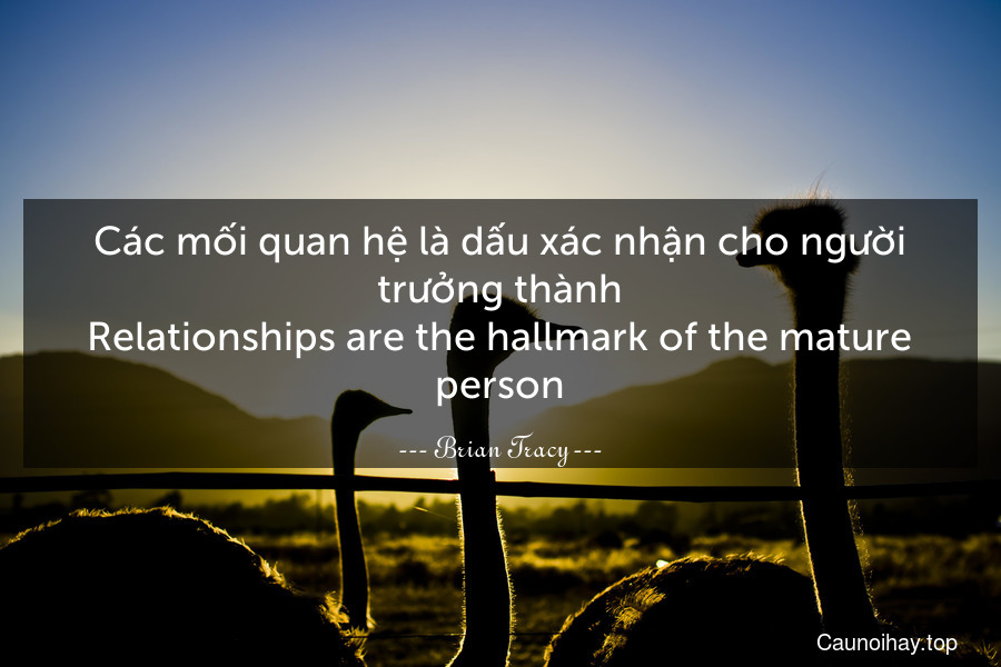Các mối quan hệ là dấu xác nhận cho người trưởng thành.
Relationships are the hallmark of the mature person.