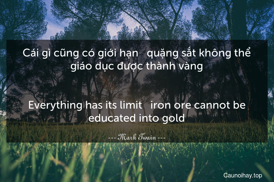 Cái gì cũng có giới hạn - quặng sắt không thể giáo dục được thành vàng.
-
Everything has its limit - iron ore cannot be educated into gold.
