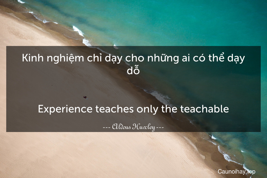 Kinh nghiệm chỉ dạy cho những ai có thể dạy dỗ.
-
Experience teaches only the teachable.
