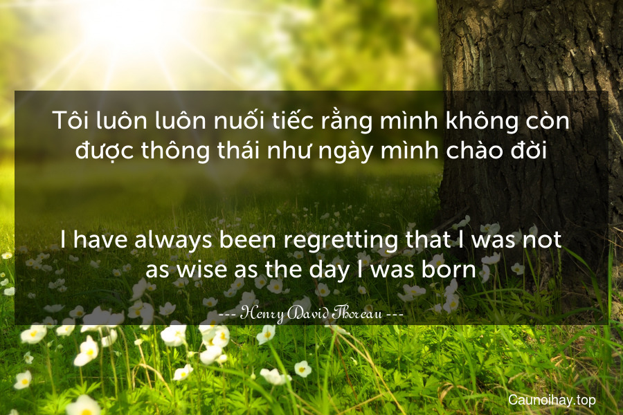 Tôi luôn luôn nuối tiếc rằng mình không còn được thông thái như ngày mình chào đời.
-
I have always been regretting that I was not as wise as the day I was born.