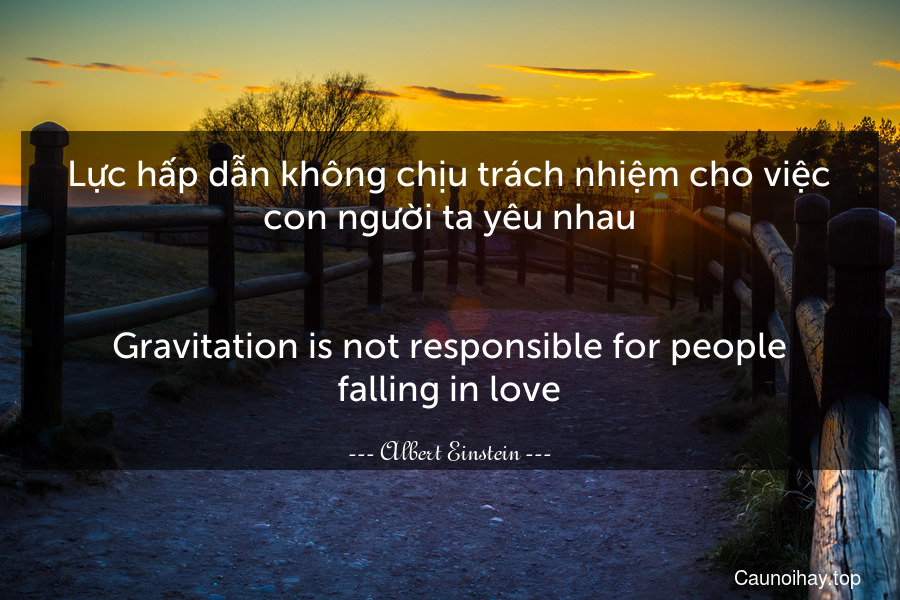 Lực hấp dẫn không chịu trách nhiệm cho việc con người ta yêu nhau.
-
Gravitation is not responsible for people falling in love.