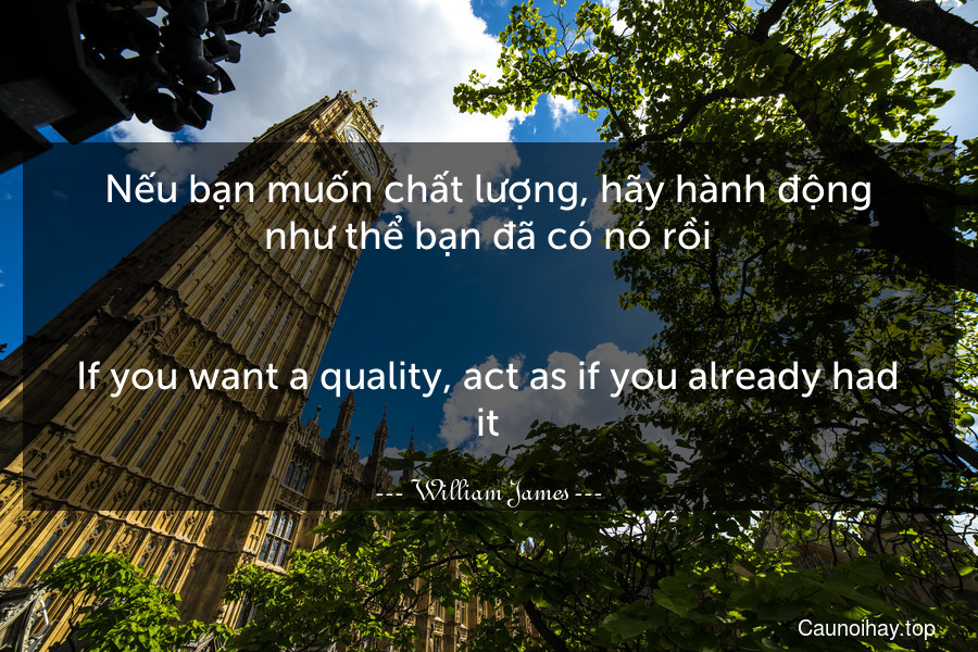 Nếu bạn muốn chất lượng, hãy hành động như thể bạn đã có nó rồi.
-
If you want a quality, act as if you already had it.