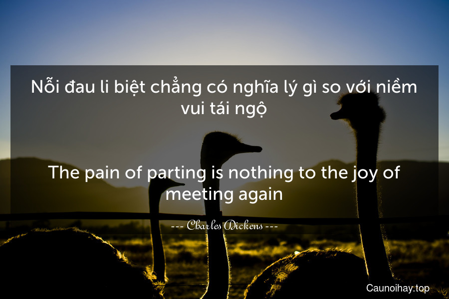 Nỗi đau li biệt chẳng có nghĩa lý gì so với niềm vui tái ngộ.
-
The pain of parting is nothing to the joy of meeting again.