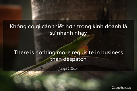 Không có gì cần thiết hơn trong kinh doanh là sự nhanh nhạy.
-
There is nothing more requisite in business than despatch.