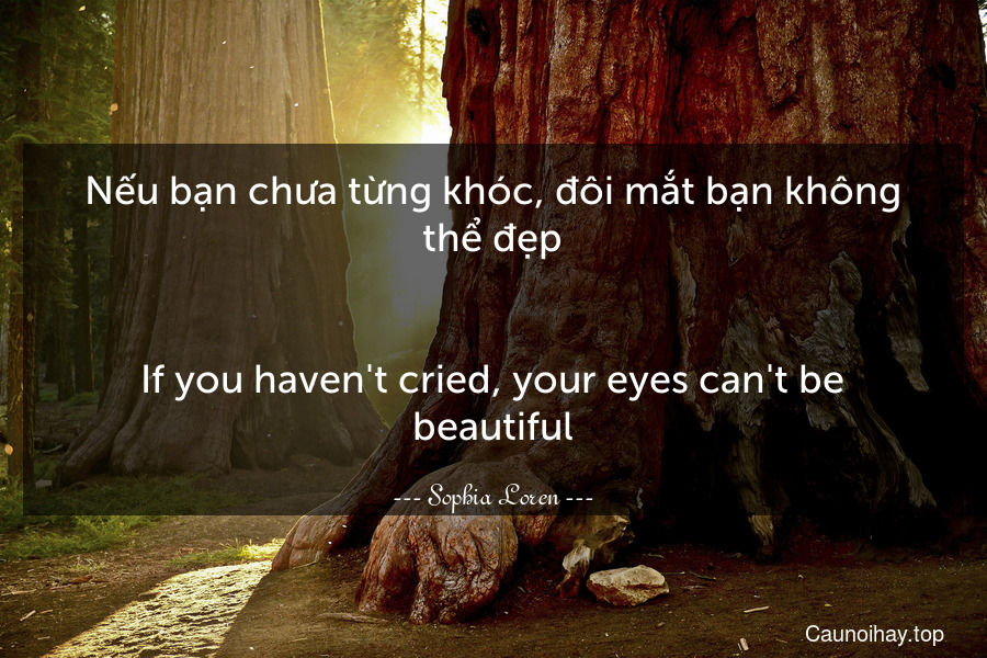 Nếu bạn chưa từng khóc, đôi mắt bạn không thể đẹp.
-
If you haven't cried, your eyes can't be beautiful.