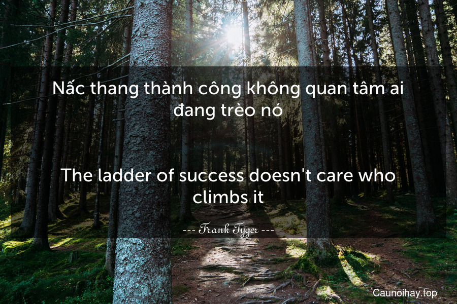 Nấc thang thành công không quan tâm ai đang trèo nó.
-
The ladder of success doesn't care who climbs it.