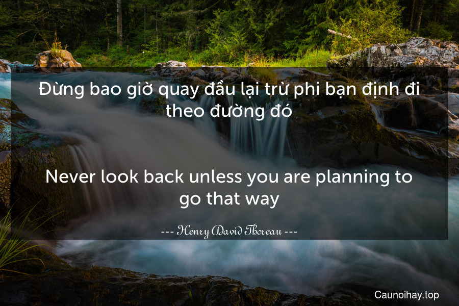 Đừng bao giờ quay đầu lại trừ phi bạn định đi theo đường đó.
-
Never look back unless you are planning to go that way.