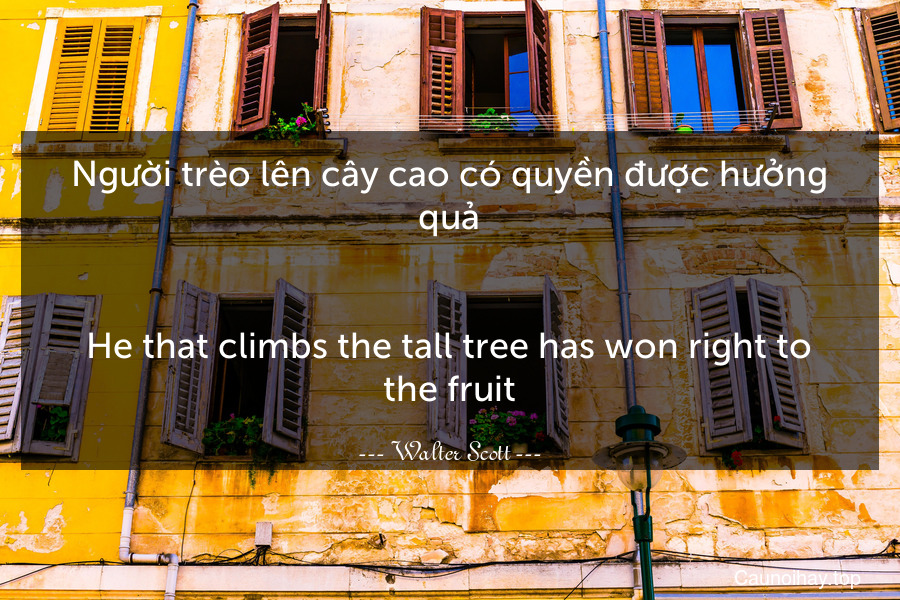 Người trèo lên cây cao có quyền được hưởng quả.
-
He that climbs the tall tree has won right to the fruit.