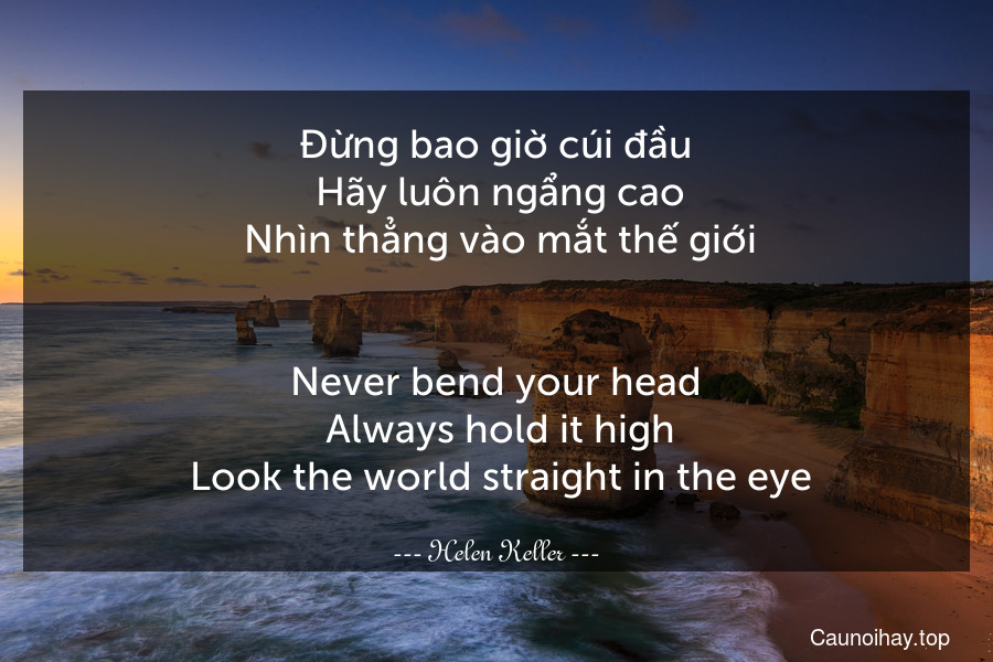 Đừng bao giờ cúi đầu. Hãy luôn ngẩng cao. Nhìn thẳng vào mắt thế giới.
-
Never bend your head. Always hold it high. Look the world straight in the eye.