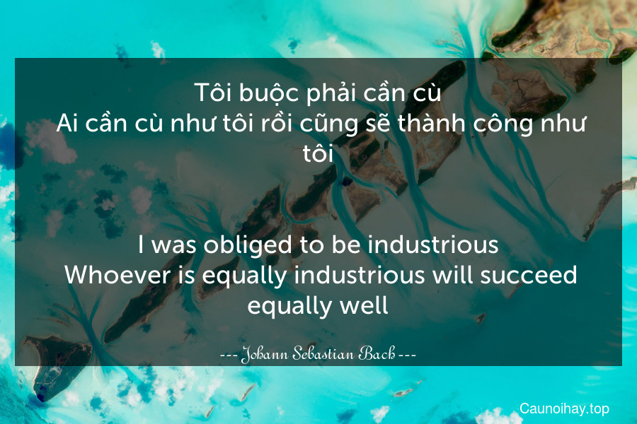 Tôi buộc phải cần cù. Ai cần cù như tôi rồi cũng sẽ thành công như tôi.
-
I was obliged to be industrious. Whoever is equally industrious will succeed equally well.