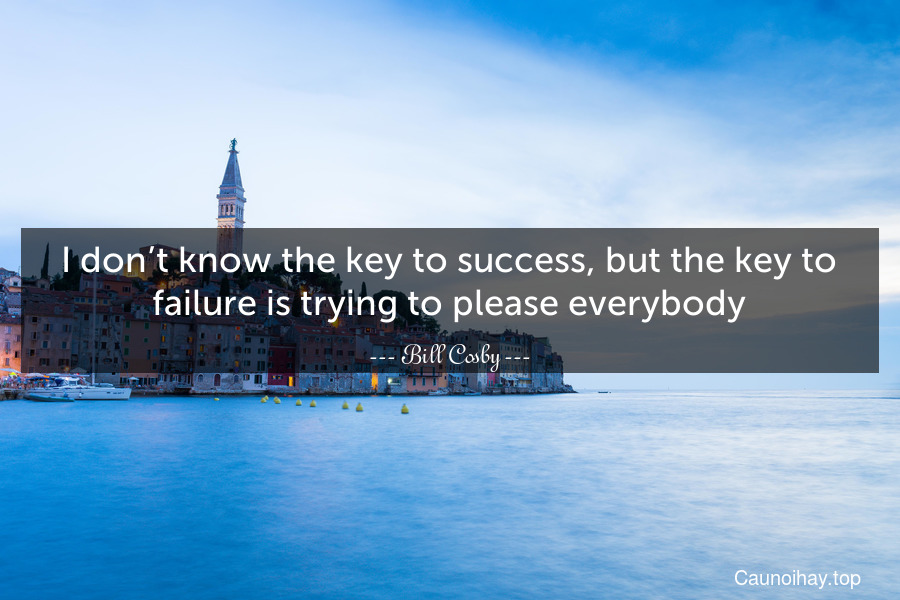 I don’t know the key to success, but the key to failure is trying to please everybody.