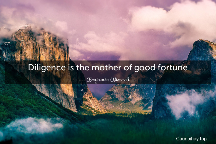 Diligence is the mother of good fortune.