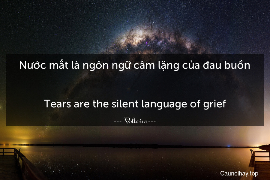 Nước mắt là ngôn ngữ câm lặng của đau buồn.
-
Tears are the silent language of grief.