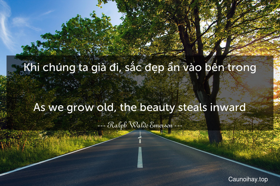 Khi chúng ta già đi, sắc đẹp ẩn vào bên trong.
-
As we grow old, the beauty steals inward.