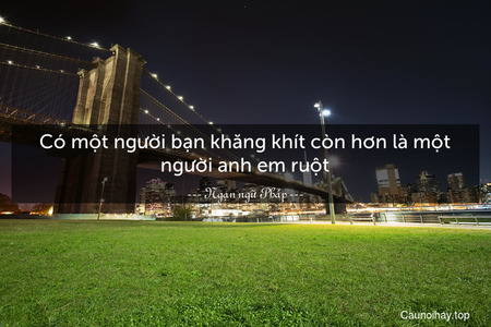 Có một người bạn khăng khít còn hơn là một người anh em ruột.