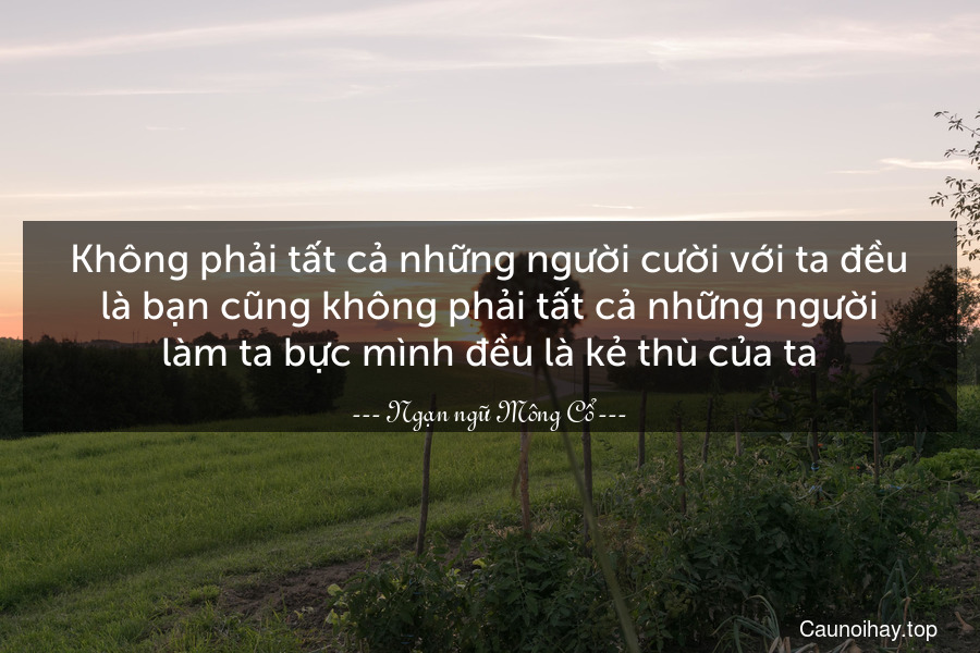 Không phải tất cả những người cười với ta đều là bạn cũng không phải tất cả những người làm ta bực mình đều là kẻ thù của ta.