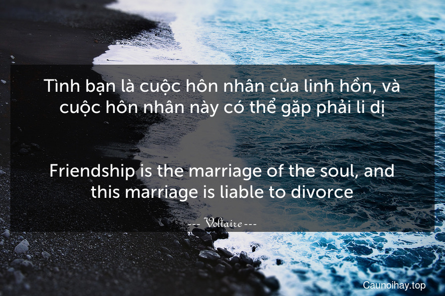 Tình bạn là cuộc hôn nhân của linh hồn, và cuộc hôn nhân này có thể gặp phải li dị.
-
Friendship is the marriage of the soul, and this marriage is liable to divorce.