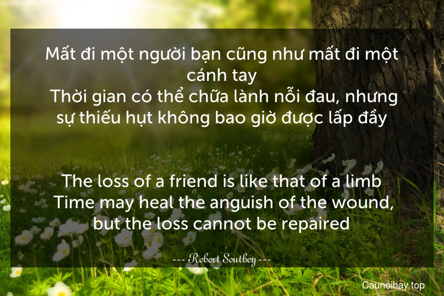 Mất đi một người bạn cũng như mất đi một cánh tay. Thời gian có thể chữa lành nỗi đau, nhưng sự thiếu hụt không bao giờ được lấp đầy.
-
The loss of a friend is like that of a limb. Time may heal the anguish of the wound, but the loss cannot be repaired.