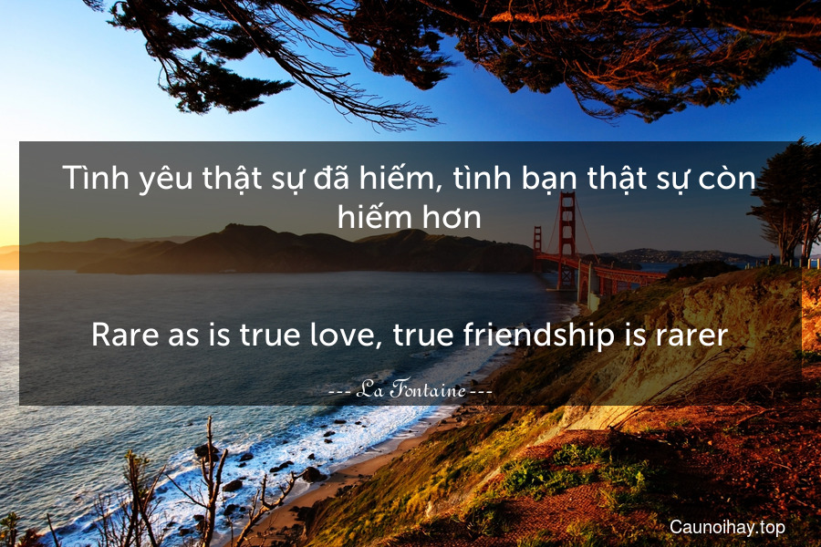 Tình yêu thật sự đã hiếm, tình bạn thật sự còn hiếm hơn.
-
Rare as is true love, true friendship is rarer.