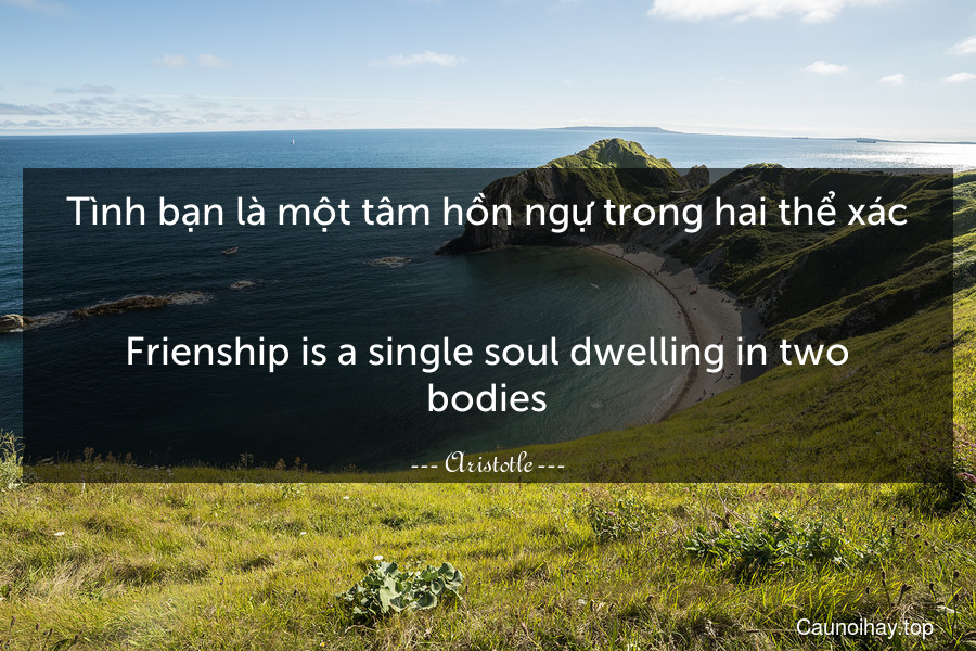 Tình bạn là một tâm hồn ngự trong hai thể xác.
-
Frienship is a single soul dwelling in two bodies.