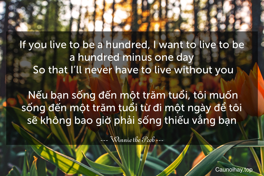 If you live to be a hundred, I want to live to be a hundred minus one day. So that I’ll never have to live without you.
 Nếu bạn sống đến một trăm tuổi, tôi muốn sống đến một trăm tuổi từ đi một ngày để tôi sẽ không bao giờ phải sống thiếu vắng bạn.