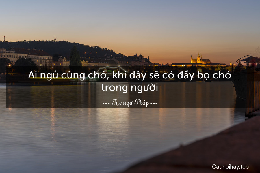 Ai ngủ cùng chó, khi dậy sẽ có đầy bọ chó trong người.