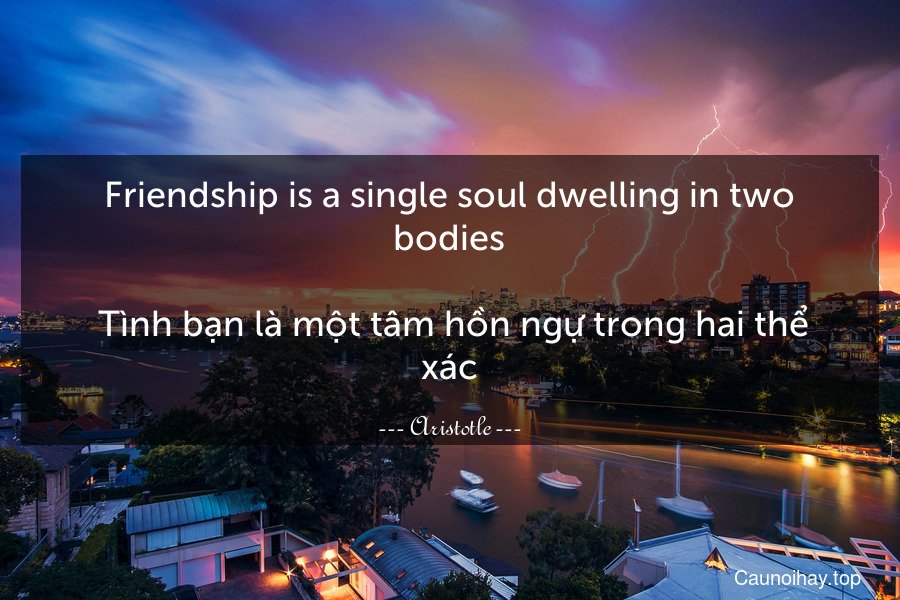 Friendship is a single soul dwelling in two bodies.
 Tình bạn là một tâm hồn ngự trong hai thể xác.