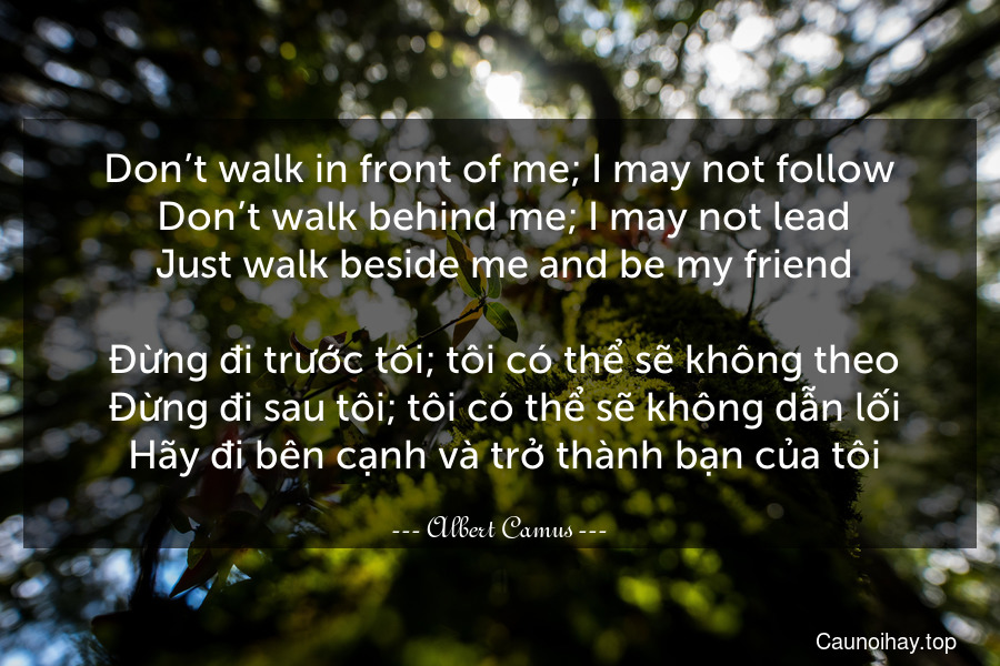 Don’t walk in front of me; I may not follow. Don’t walk behind me; I may not lead. Just walk beside me and be my friend.
 Đừng đi trước tôi; tôi có thể sẽ không theo. Đừng đi sau tôi; tôi có thể sẽ không dẫn lối. Hãy đi bên cạnh và trở thành bạn của tôi.